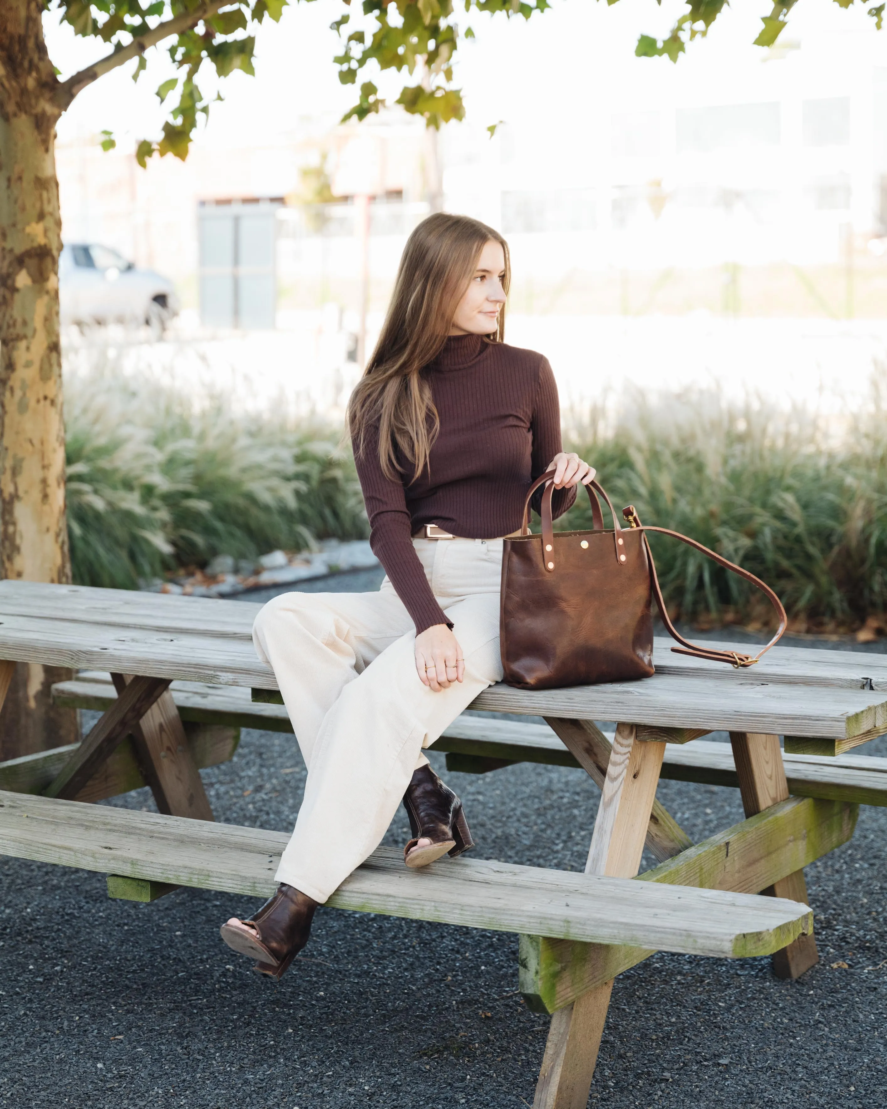 Brown Dublin Mini Tote