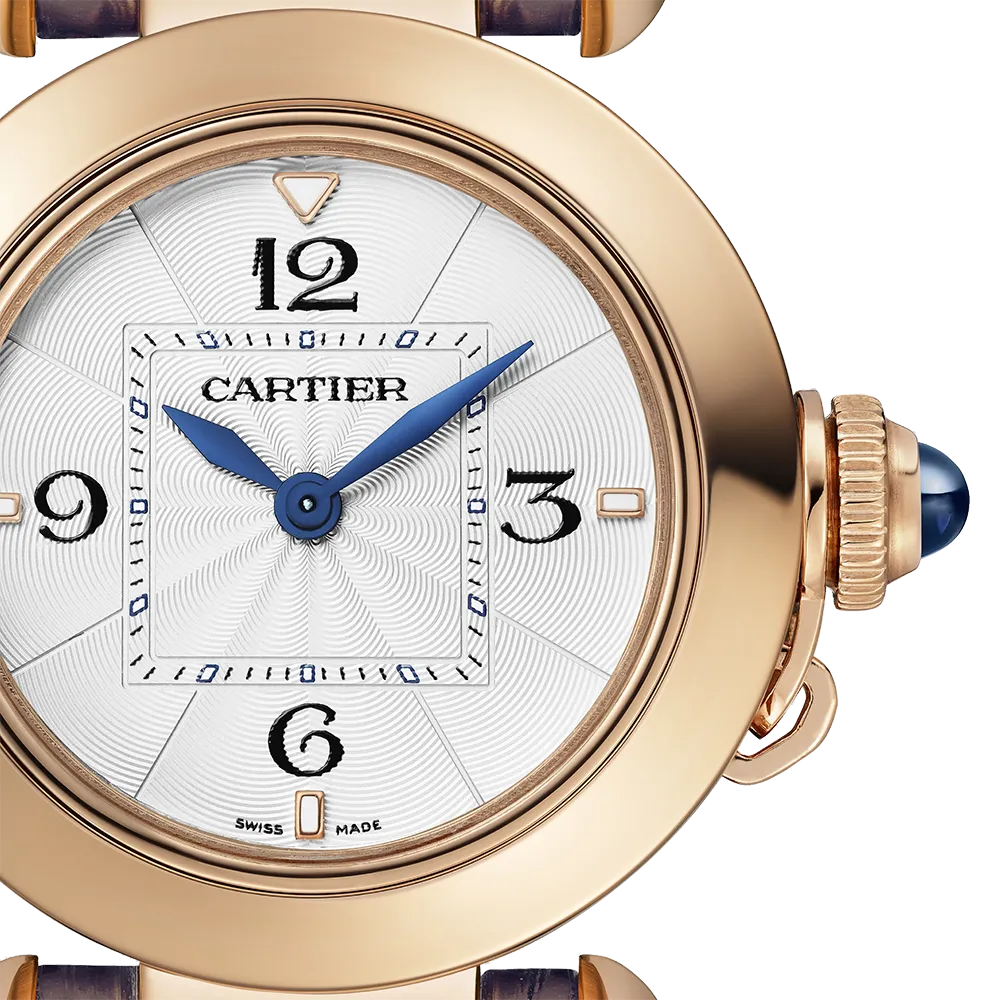 Cartier Pasha de Cartier WGPA0018