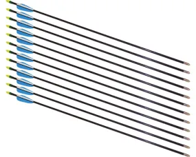 Fiberglass Arrows