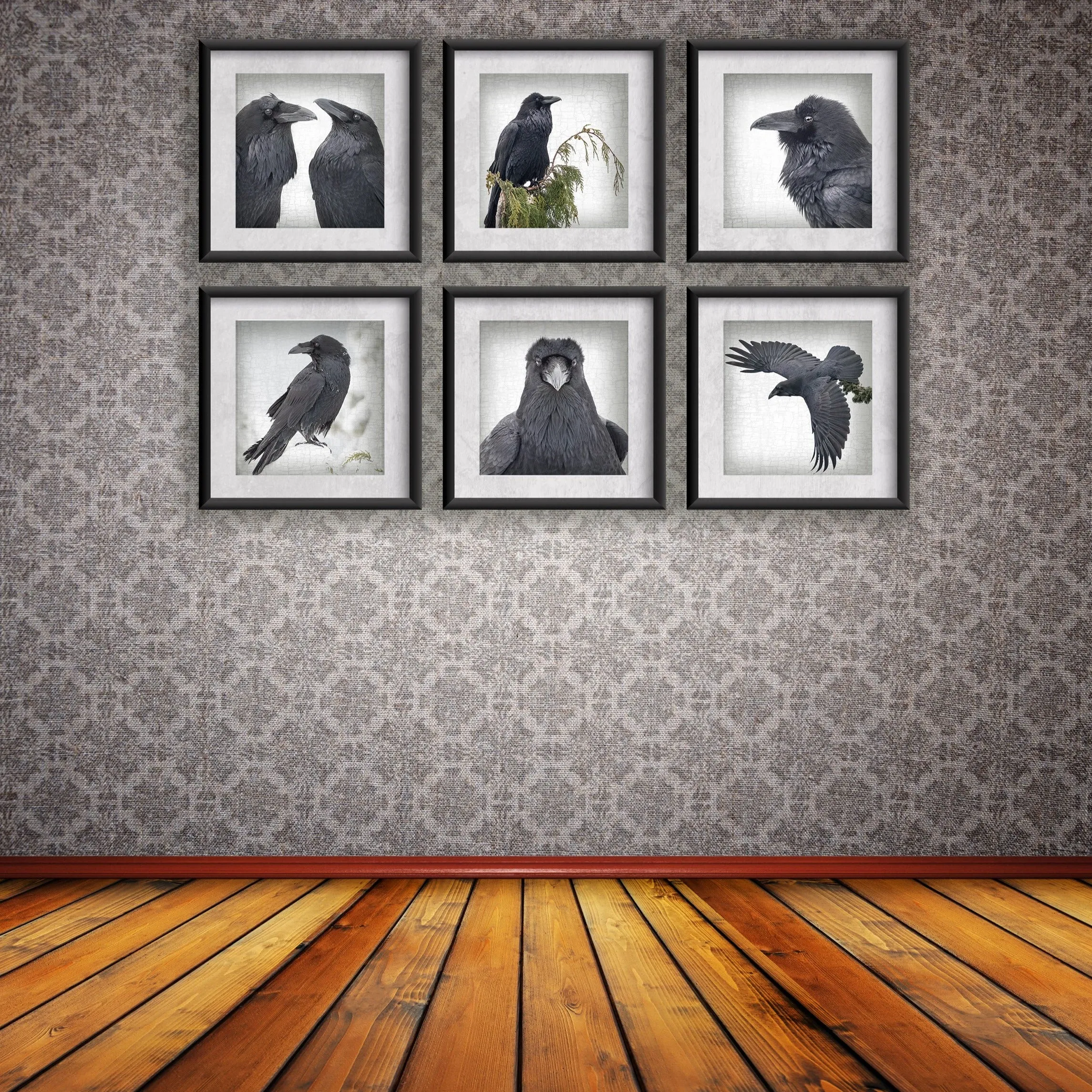 RAVEN CELEBRITY - Fine Art Print, Raven Portrait Series