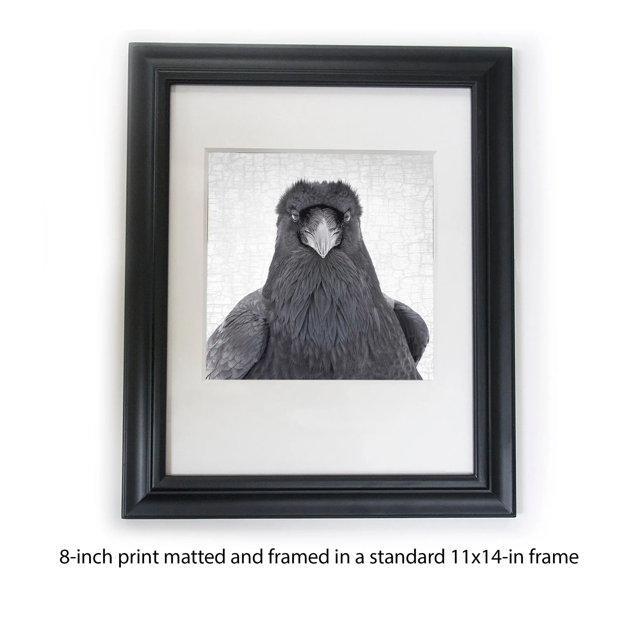 RAVEN CELEBRITY - Fine Art Print, Raven Portrait Series