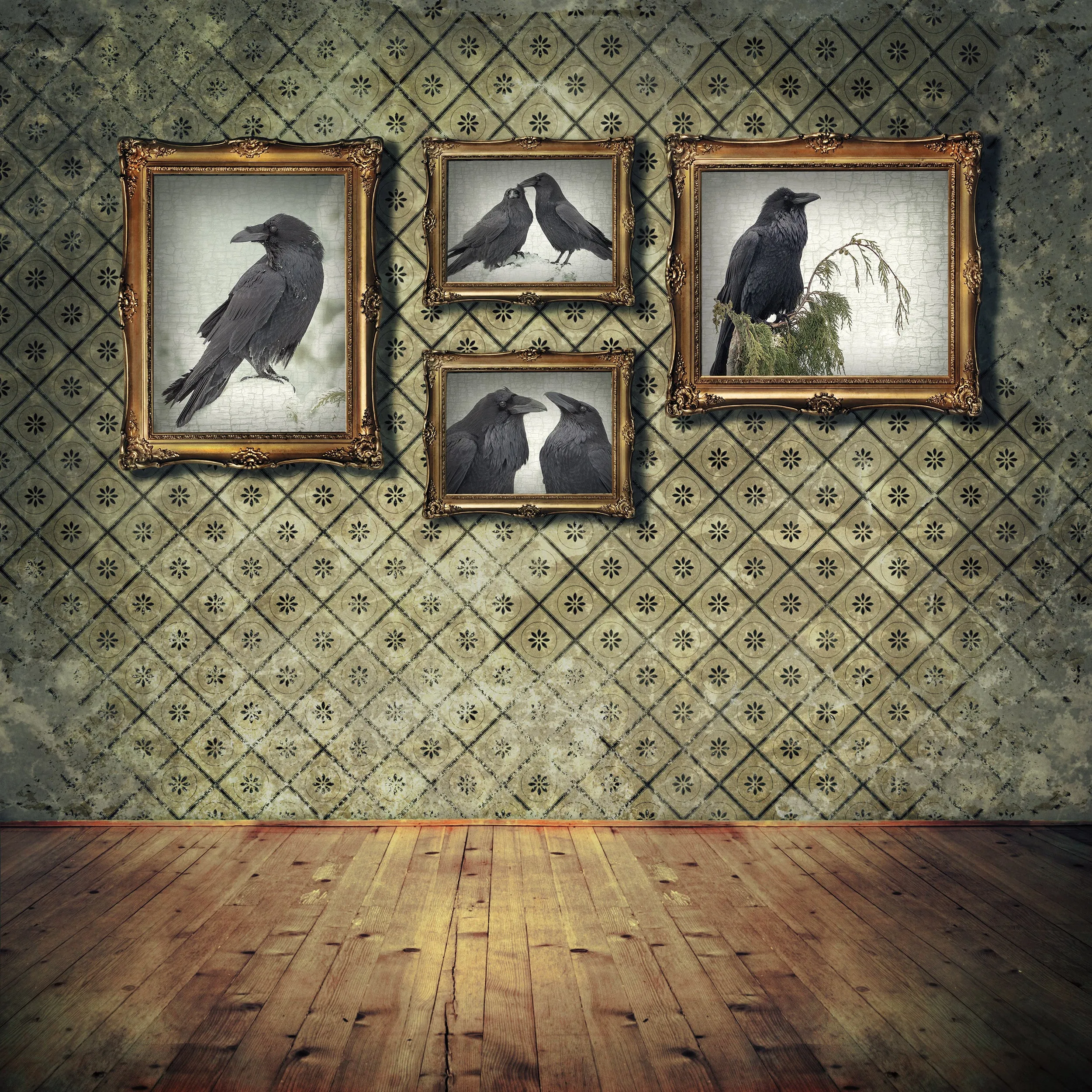 RAVEN LOOKS FORWARD - Fine Art Print, Raven Portrait Series