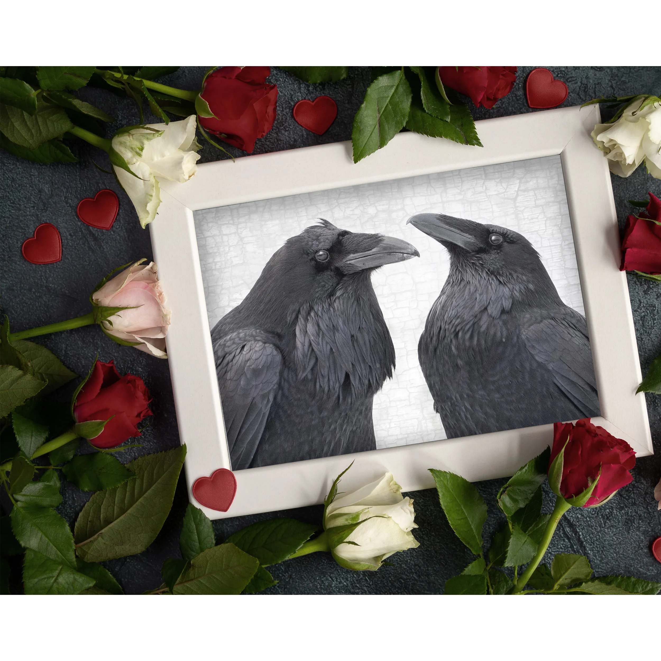 RAVEN ROMANCE - Fine Art Print, Raven Portrait Series