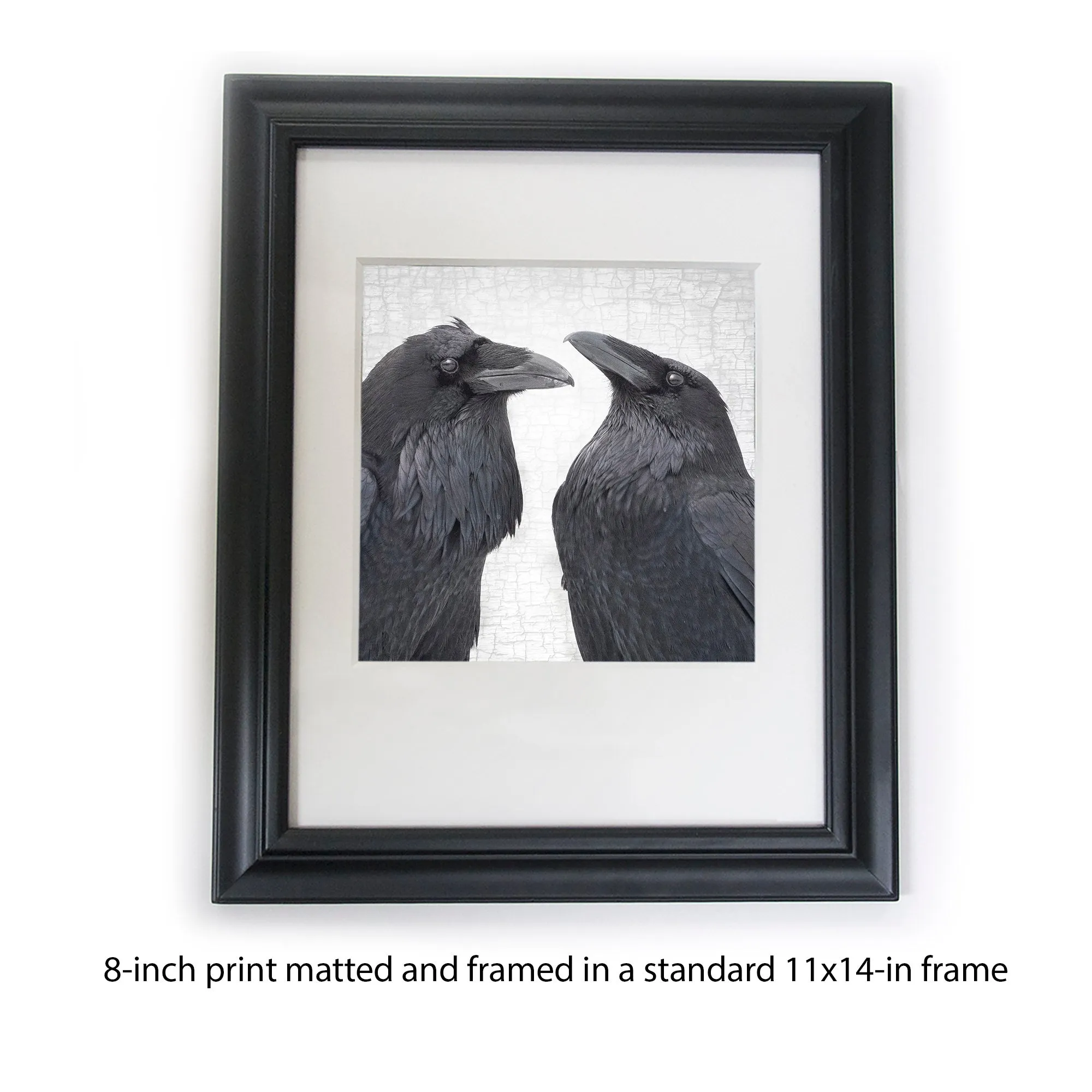 RAVEN ROMANCE - Fine Art Print, Raven Portrait Series