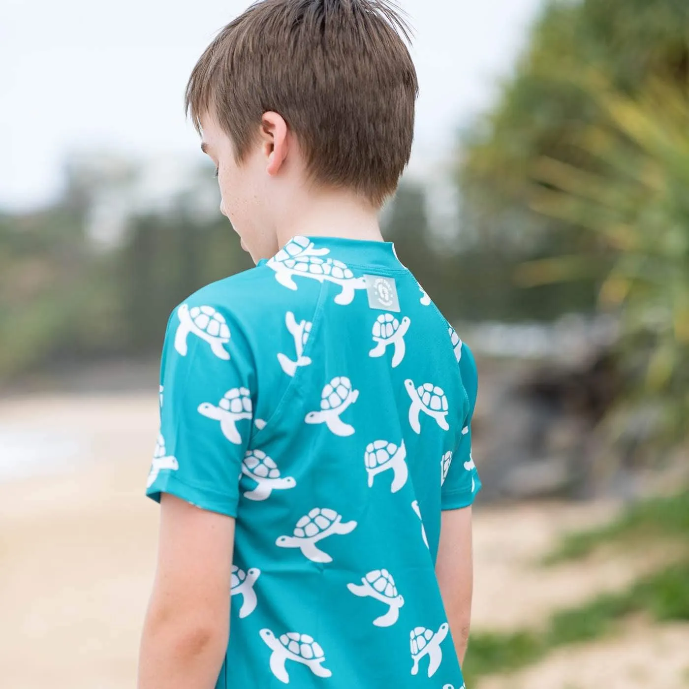 Sea Turtle Bale Short Sleeve Zip Rashie