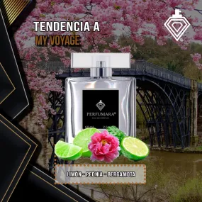 Tendencia a CMy Voyage